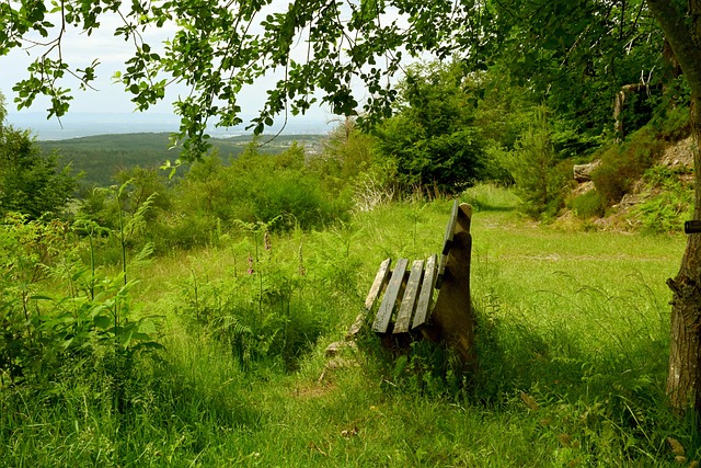 布倫特福德 布倫特福德