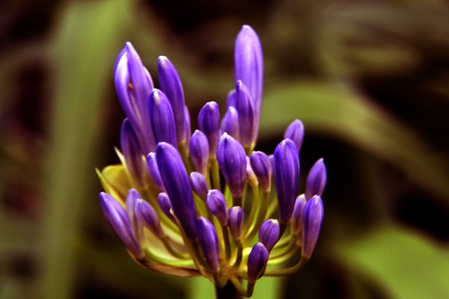 团队篮球理 团队篮球理