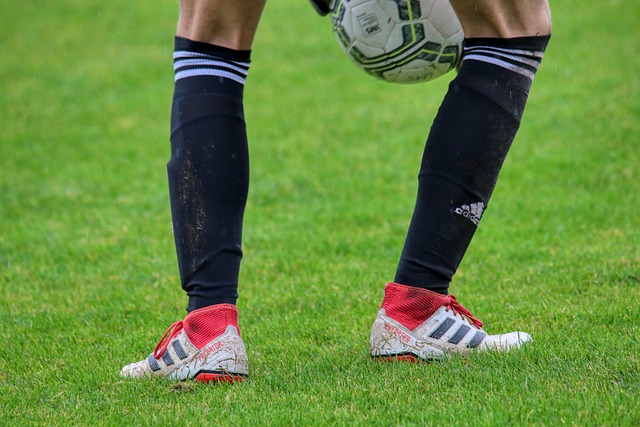 体系的漏洞 体系的漏洞