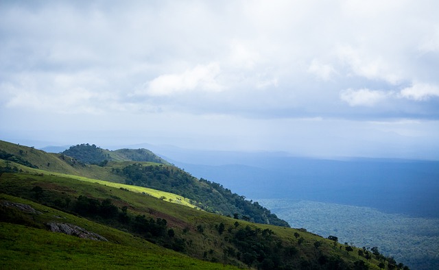 在欧冠半决 在欧冠半决