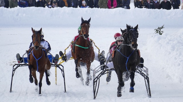欧洲顶级联 欧洲顶级联
