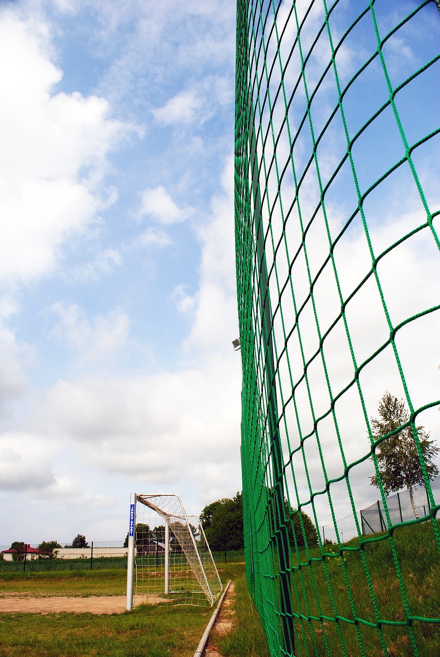 在这种情况 在这种情况