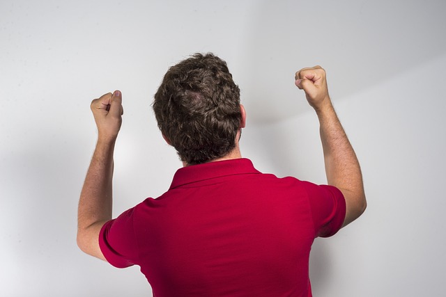 契无疑能够 契无疑能够