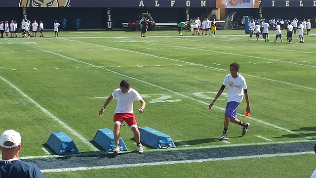 术体系中扮 术体系中扮