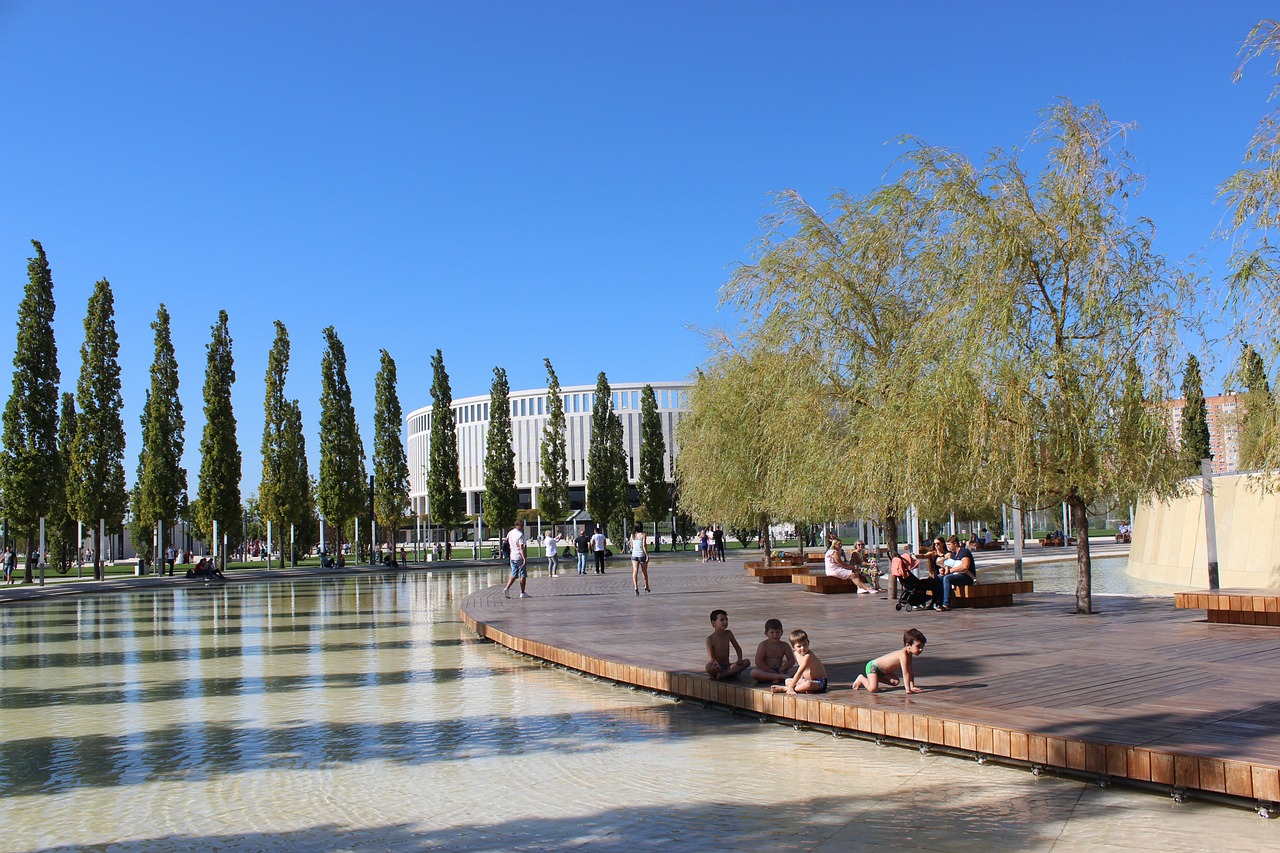 教练在比赛 教练在比赛