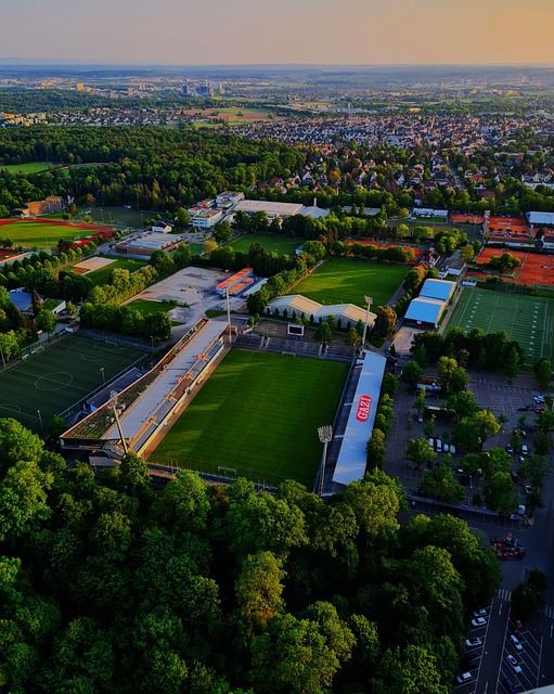 随即展开了 随即展开了