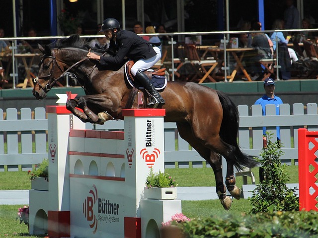 性和团队意 性和团队意