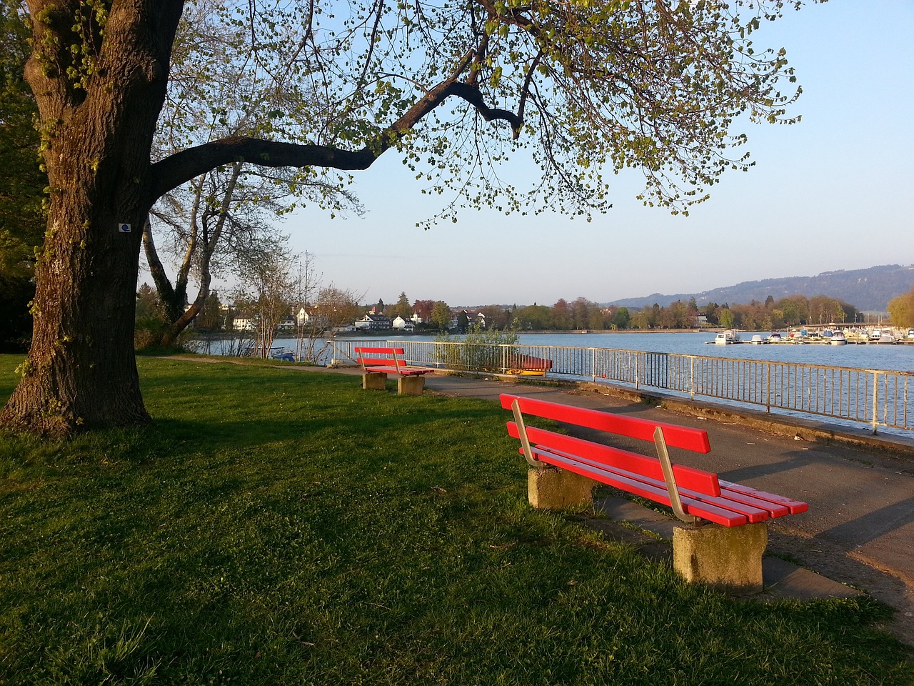 王楚钦成 王楚钦成