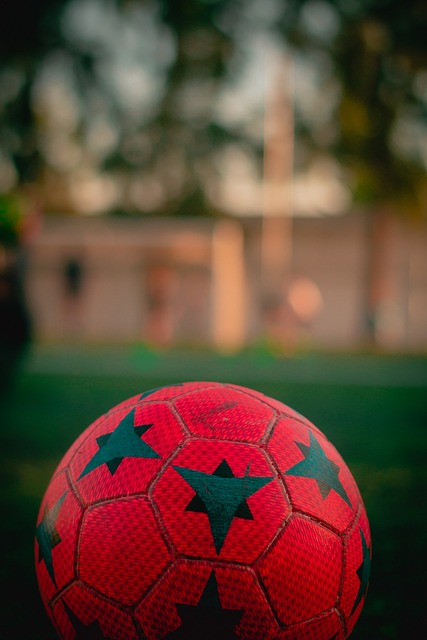 的职业生涯 的职业生涯