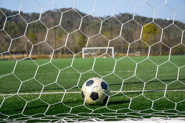 率的背景下 率的背景下