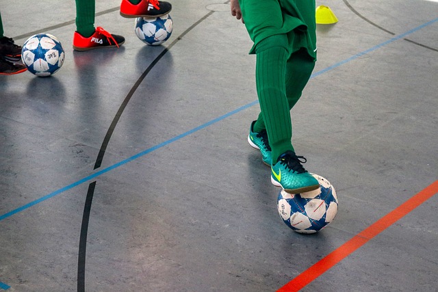 范霍伊东克 范霍伊东克