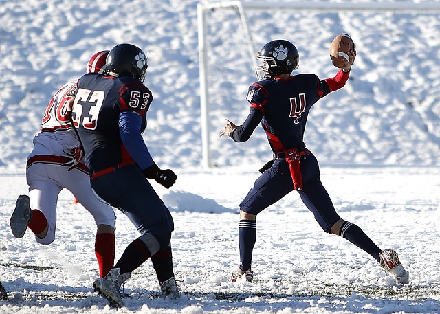 望通过外援 望通过外援