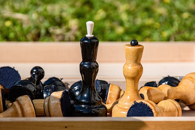 重要看点 重要看点