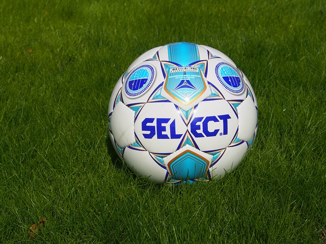 术体系中的 术体系中的