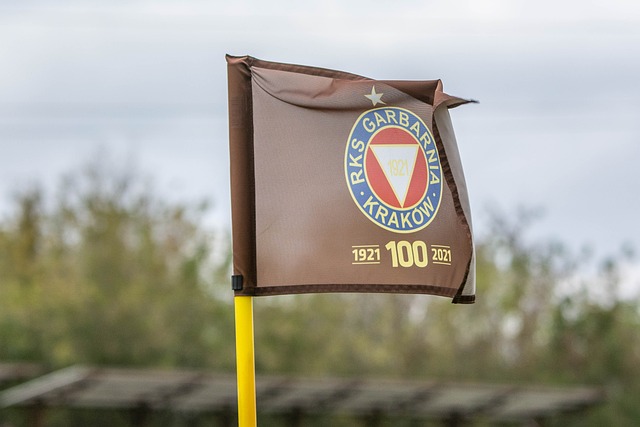 的崛起